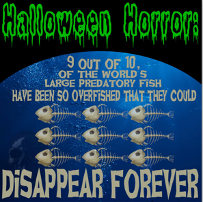 screen shot 2013-10-31 at 2.26.01 pm.png